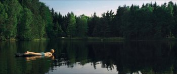Movie still from “Goodnight Mommy” (2014), directed by Severin Fiala – A bear that is swimming in the water; Extreme Wide shot, High angle