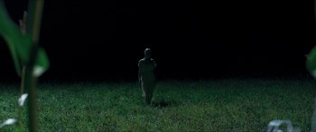 Movie still from “Goodnight Mommy” (2014), directed by Severin Fiala – A person standing in a field at night; Extreme Wide shot, High angle