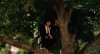 Movie still from “High School Musical 3: Senior Year” (2008), directed by Kenny Ortega – A man sitting on top of a tree branch; Wide shot, Low angle
