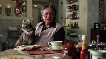 Movie still from “I, Robot” (2004), directed by Alex Proyas – An older woman sitting at a table with a cat on her lap; Close Up shot, Low angle