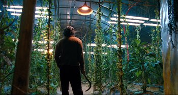 Movie still from “I Saw the Devil” (2010), directed by Jee-woon Kim – A man standing in a room filled with green plants; Wide shot, Low angle