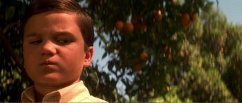 Movie still from “Identity” (2003), directed by James Mangold – A young boy standing in front of an orange tree; Close Up shot, Low angle