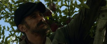 Movie still from “In Dubious Battle” (2016), directed by James Franco – A person picking apples from a tree; Close Up shot, Low angle