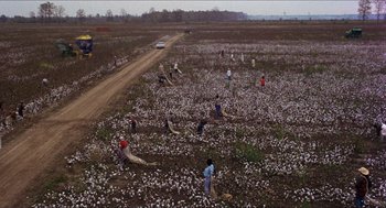 Movie still from “In the Heat of the Night” (1967), directed by Norman Jewison – A group of people standing in a field of cotton; Extreme Wide shot, High angle