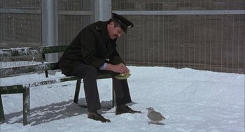 Movie still from “In the Name of the Father” (1993), directed by Jim Sheridan – A man sitting on a bench next to a bird; Wide shot, High angle