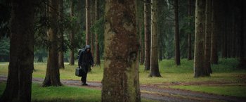 Movie still from “In the Earth” (2021), directed by Ben Wheatley – A person walking in the woods near a tree; Wide shot, Low angle