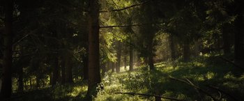 Movie still from “In the Earth” (2021), directed by Ben Wheatley – The sun is shining through the trees in the woods; Extreme Wide shot, Low angle