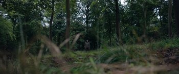Movie still from “In the Earth” (2021), directed by Ben Wheatley – A man standing in the middle of a forest; Extreme Wide shot, Low angle