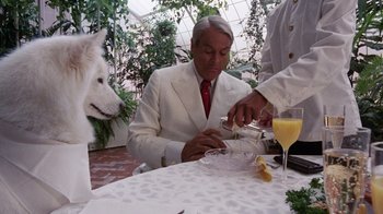 Movie still from “Innerspace” (1987), directed by Joe Dante – A man sitting at a table in front of a glass of wine; Medium shot, Over the shoulder angle