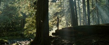 Movie still from “Into the Wild” (2007), directed by Sean Penn – A man standing on top of a tree in the middle of a forest; Extreme Wide shot, Low angle