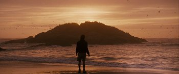 Movie still from “Into the Wild” (2007), directed by Sean Penn – A man standing on the beach looking out at the ocean; Extreme Wide shot, Low angle
