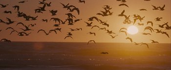 Movie still from “Into the Wild” (2007), directed by Sean Penn – A flock of birds flying over a body of water at sunset; Extreme Wide shot, Low angle