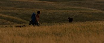 Movie still from “Into the Wild” (2007), directed by Sean Penn – A person in a field with a dog and a backpack; Extreme Wide shot, Over the shoulder angle