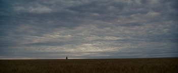 Movie still from “Into the Wild” (2007), directed by Sean Penn – A person standing in the middle of an open field under a cloudy sky; Extreme Wide shot, Low angle