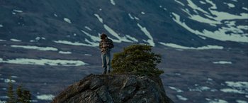 Movie still from “Into the Wild” (2007), directed by Sean Penn – A man standing on top of a mountain looking at a tree; Extreme Wide shot, Low angle
