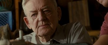 Movie still from “Into the Wild” (2007), directed by Sean Penn – An old man with a beard is looking at the camera; Close Up shot, Low angle