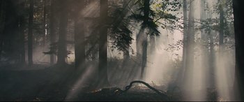 Movie still from “Into the Woods” (2014), directed by Rob Marshall – The sun is shining through the trees in the woods; Extreme Wide shot, Low angle