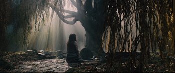 Movie still from “Into the Woods” (2014), directed by Rob Marshall – A woman sitting on the ground near a tree; Wide shot, Low angle