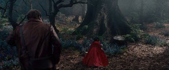 Movie still from “Into the Woods” (2014), directed by Rob Marshall – A woman in a red cape in the woods; Wide shot, High angle