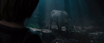 A cow is walking through the woods in the dark