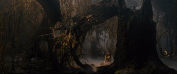Movie still from “Into the Woods” (2014), directed by Rob Marshall – A man and a woman sitting in the woods; Wide shot, High angle