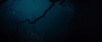 Movie still from “Into the Woods” (2014), directed by Rob Marshall – A person standing in the dark under a tree; Wide shot, Low angle