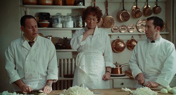 Movie still from “Julie & Julia” (2009), directed by Nora Ephron – A woman standing in front of a table in a kitchen; Medium shot, Over the shoulder angle