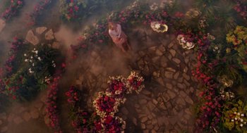 Movie still from “Just Like Heaven” (2005), directed by Mark Waters – An aerial view of a woman standing in a garden; Extreme Wide shot, Overhead angle
