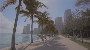 Movie still from “Kung Fury” (2015), directed by David Sandberg – Palm trees line a path next to the water; Extreme Wide shot, High angle