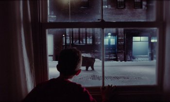Movie still from “Light of My Life” (2019), directed by Casey Affleck – A person looking out a window at a bear; Wide shot, Over the shoulder angle