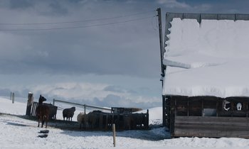 Movie still from “Light of My Life” (2019), directed by Casey Affleck – A herd of sheep standing on top of a snow covered field; Extreme Wide shot, Low angle