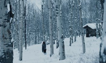Movie still from “Light of My Life” (2019), directed by Casey Affleck – A person walking in the snow near a forest; Extreme Wide shot, Low angle