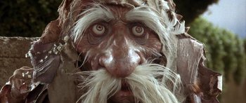 Movie still from “Labyrinth” (1986), directed by Jim Henson – The face of an old man with long hair; Extreme Close Up shot, Low angle