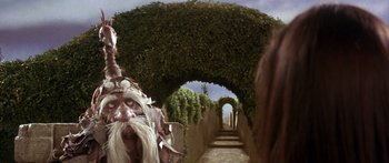 Movie still from “Labyrinth” (1986), directed by Jim Henson – An image of a man with a long beard in the middle of a garden path; Close Up shot, Low angle