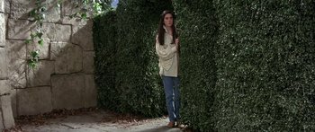 Movie still from “Labyrinth” (1986), directed by Jim Henson – A person standing in front of a wall of bushes; Medium shot, High angle