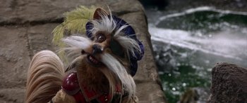 Movie still from “Labyrinth” (1986), directed by Jim Henson – A dog with a long white beard is sitting on a stone wall; Close Up shot, High angle