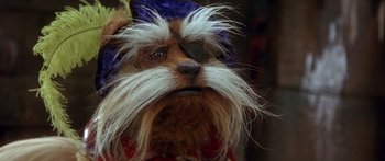 Movie still from “Labyrinth” (1986), directed by Jim Henson – A dog wearing a pirate hat; Close Up shot, Low angle