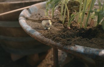 Movie still from “Marcel the Shell with Shoes On” (2021), directed by Dean Fleischer Camp – A small figurine sitting in the dirt; Extreme Close Up shot, High angle