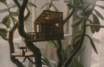 Movie still from “Marcel the Shell with Shoes On” (2021), directed by Dean Fleischer Camp – A tree with a house built on top of the branches; Wide shot, Low angle
