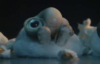 Movie still from “Marcel the Shell with Shoes On” (2021), directed by Dean Fleischer Camp – An image of an object that is laying on the ground; Extreme Close Up shot, Low angle