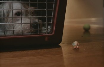 Movie still from “Marcel the Shell with Shoes On” (2021), directed by Dean Fleischer Camp – A cat in a cage with its head in a toy; Extreme Close Up shot, High angle