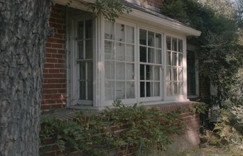 Movie still from “Marcel the Shell with Shoes On” (2021), directed by Dean Fleischer Camp – A brick building with a large window and ivy growing on it's side; Extreme Wide shot, High angle