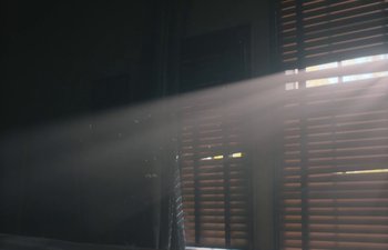 Movie still from “Marcel the Shell with Shoes On” (2021), directed by Dean Fleischer Camp – The sun is shining through the window blinds on the wall; Extreme Close Up shot, Low angle