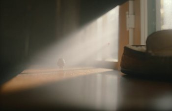 Movie still from “Marcel the Shell with Shoes On” (2021), directed by Dean Fleischer Camp – A bird sitting on the ground in the sunlight; Wide shot, Low angle