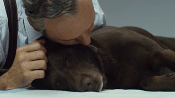 Movie still from “Margin Call” (2011), directed by J.C. Chandor – A man and a dog laying on a bed; Extreme Close Up shot, High angle