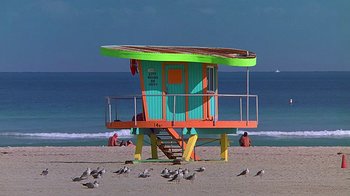Movie still from “Meet the Fockers” (2004), directed by Jay Roach – A colorful lifeguard tower on the beach with a flock of seagulls; Extreme Wide shot, High angle