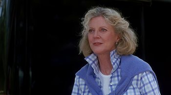 Movie still from “Meet the Fockers” (2004), directed by Jay Roach – A person wearing a plaid shirt; Close Up shot, Low angle