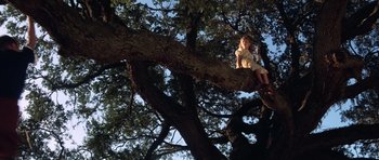 Movie still from “Forrest Gump” (1994), directed by Robert Zemeckis – Wide shot, Low angle