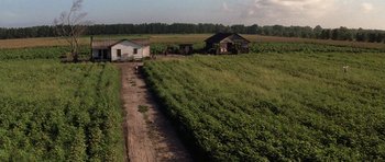Movie still from “Forrest Gump” (1994), directed by Robert Zemeckis – Extreme Wide shot, High angle