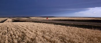 Movie still from “Forrest Gump” (1994), directed by Robert Zemeckis – Extreme Wide shot, High angle